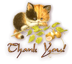 thank_you_kitten